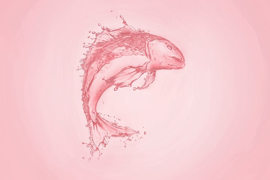 Salmon PDRN Healing Essence 2%