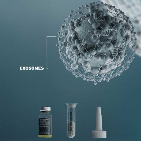 Exosomes