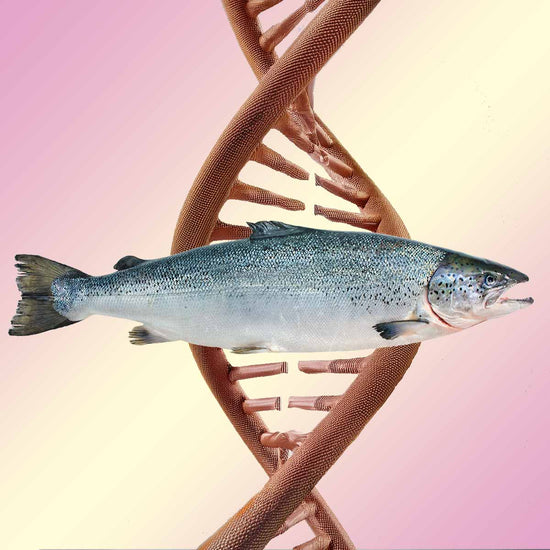 Salmon PDRN Glass Skin 1% (Upgrade) @ Skin Spa New York